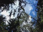 20160814_Rettung04.jpg