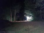 20150901_fftexing_1.JPG
