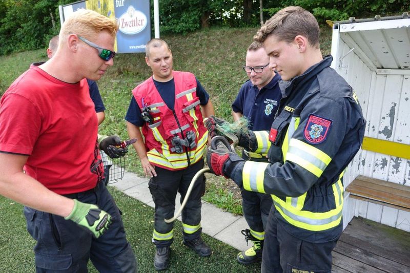 20170722 ffmelk tierrettung 6