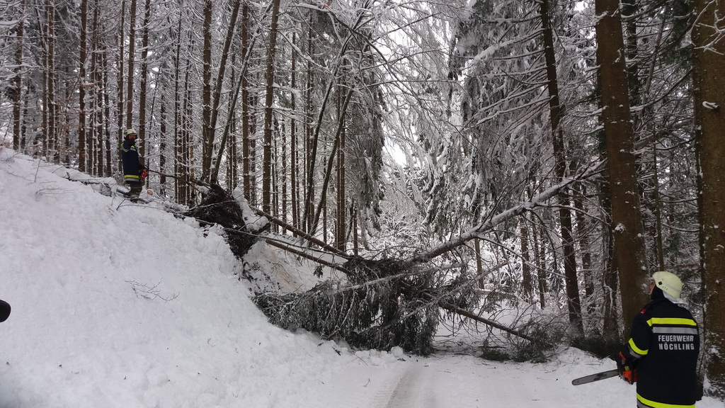 20190105 FFNoechling Sturm 10