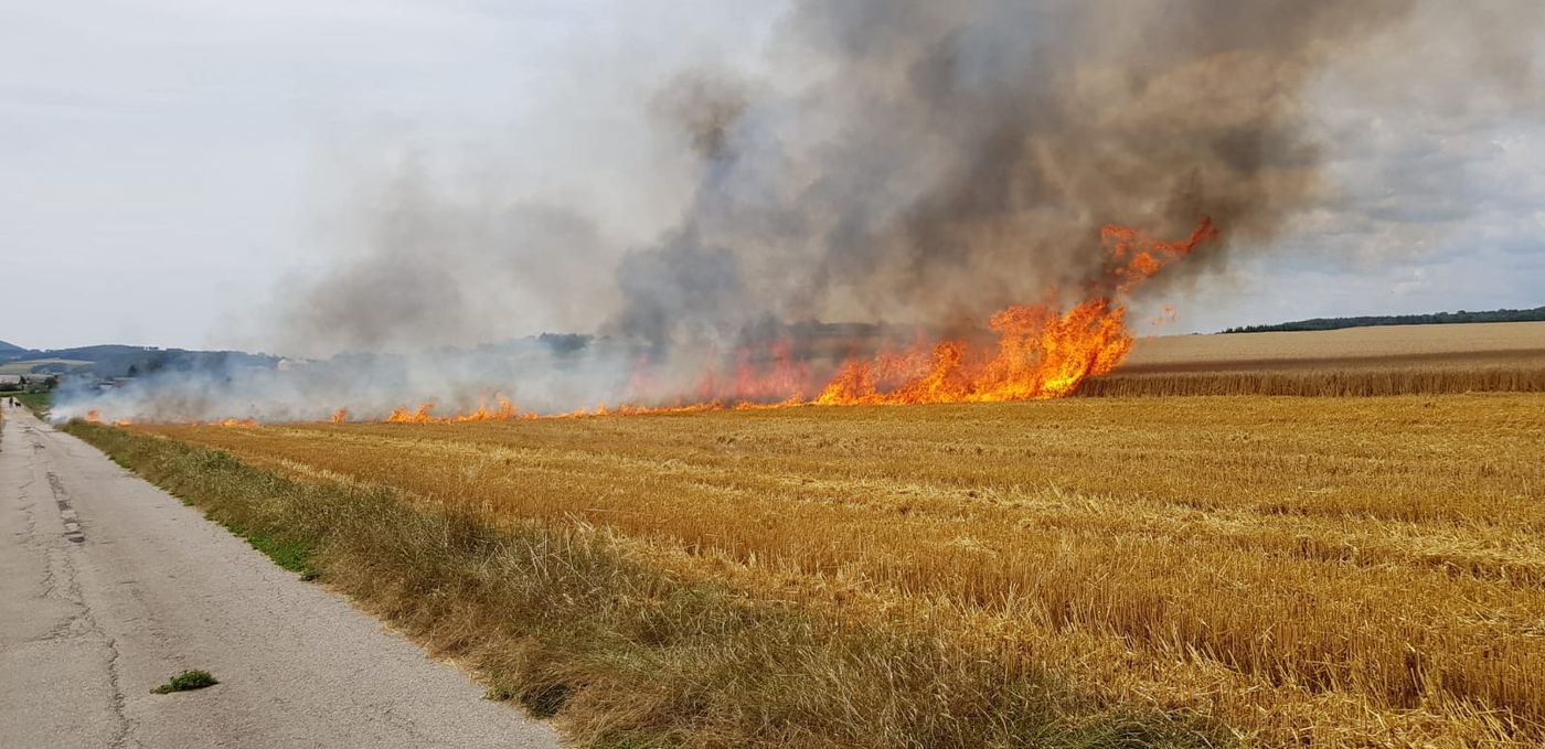 20190722 ffloosdorf