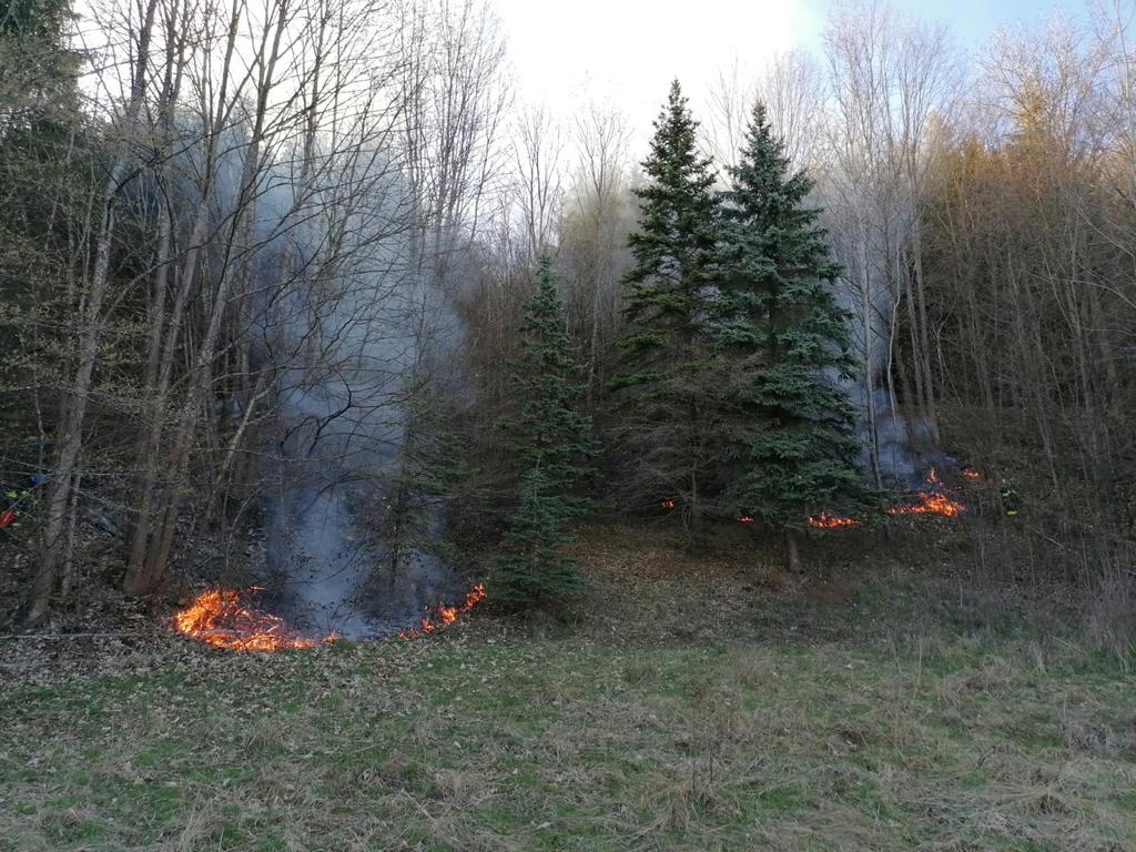 flurbrand steinbach april 2020 12